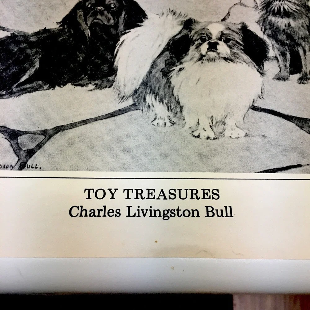 Charles Livingston Bull,Toy Treasures POM,PEKINESE, GRIFFON,Cocker Print 1930's